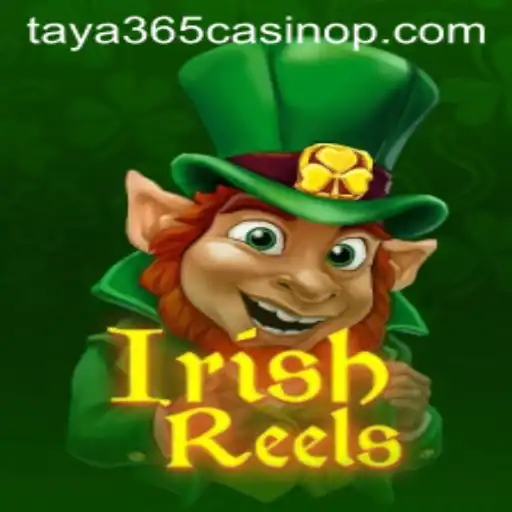 Exploring the Enchanting World of IrishReels at Taya365 Casino